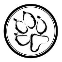 Irene Serrano Espejo