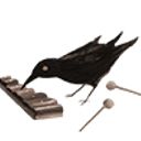 la_embajada_de_jupiter