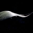 Norma Carlana Labianca