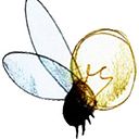 Gabriel Sanz Balfagon