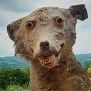 Pablo Hernando Esquisábel