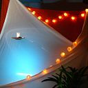 miquel pizarro cardeñosa