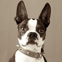 Genoveva Piñeiro Corrales