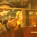 Paola Ríos Comunicación, Marketing y Diseño.