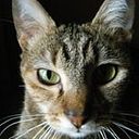 vicente gallart heredia