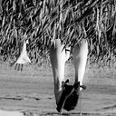 Patricia Alvarez Alvarez