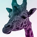 Eduardo Rivas Muñoz