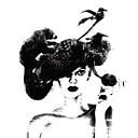 Sara Herguedas de Castro