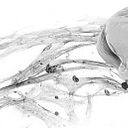 Javier Gamero Sánchez