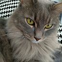 Christina Scheper Prat