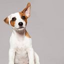 Stella Gómez Giménez