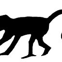 elmonodelatinta_taller_de_grabado_y_litografia