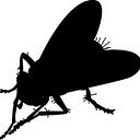 Rubén García Vicente