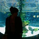 Miriam Bulnes Peñalver