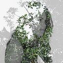 Radha Rodríguez Piñero