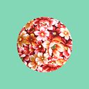 Julia Martínez Bonilla