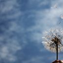 Beatriz Vicente Martín