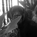 Silvia Prado Martínez