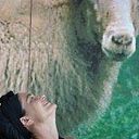 trinidad martinez santa