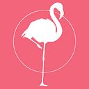 Pink Flamingo Films