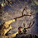 Carlos Serrano Fernández