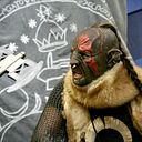 Rafael Jesús González Artal