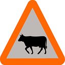 visual Cow