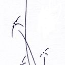 PILAR GARCÍA MONTERO