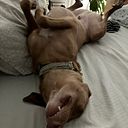 eva puyuelo puyuelo muns