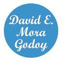 David Eduardo Mora Godoy