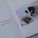 Úrsula Martínez Candela