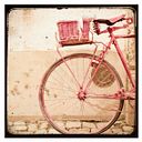 Alba Cervelló Ortigosa