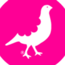 José Luis Zapata Cárdenas