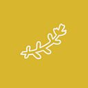 Andrea Vives Vázquez