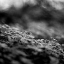marcmormeneofotografo