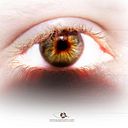 Jesús Sánchez Rozas