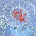 Raquel Martinez Fernandez