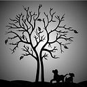 Cristina Cadenas Martinez