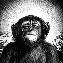 Pablo Nieva Martínez