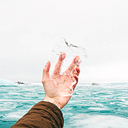 Guillermo de la Torre