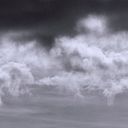 Alicia Cárdenas Campos