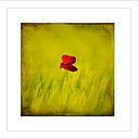 Juan Antonio Tabernero Moreno