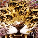 Leonardo Gama Romero