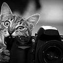 Lola Sánchez Herrera