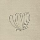 Valentina Kalaydjian