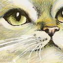 Susana Marquez Ravanal