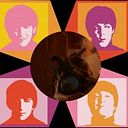 Viviana Marcela Velasquez Bello