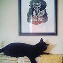 Jesús Iglesias Blasco