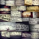 juliana fernandez gafaro