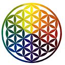 Mertxe Trigueros Antolín